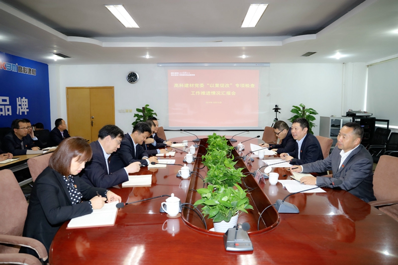 集團公司紀委書記徐兵帶隊檢查指導高科建材“以案促改”專項檢查_副本.jpg